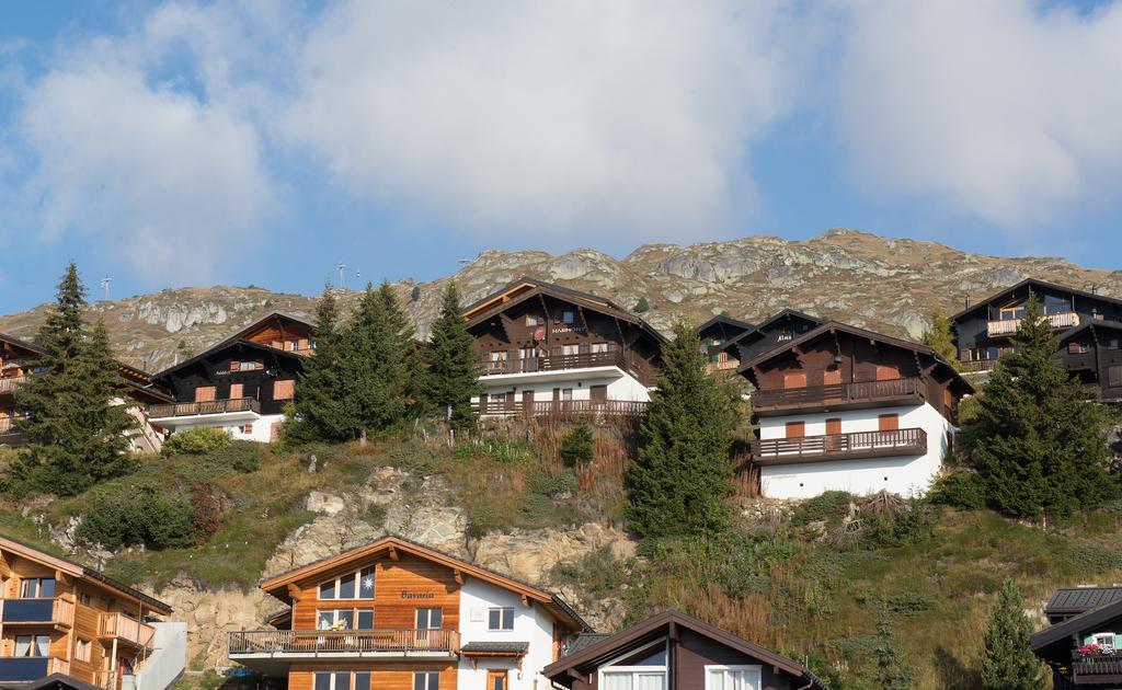 Harmony Eg Sued-Ost Apartamento Bettmeralp Exterior foto